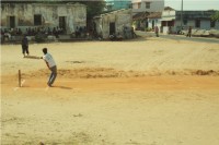 Cricket Match Picture